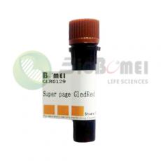 Super page GledRed 10000× in water（水溶液）